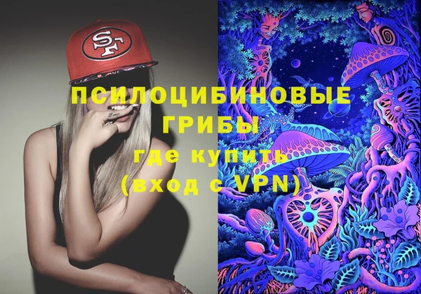 трава Медвежьегорск