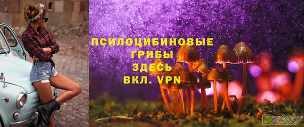 PSILOCYBIN Магас