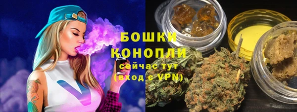 PSILOCYBIN Магас