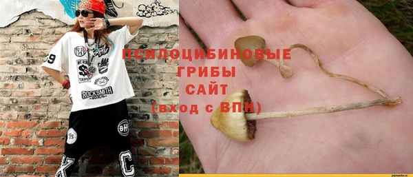 эйфоретик Магадан